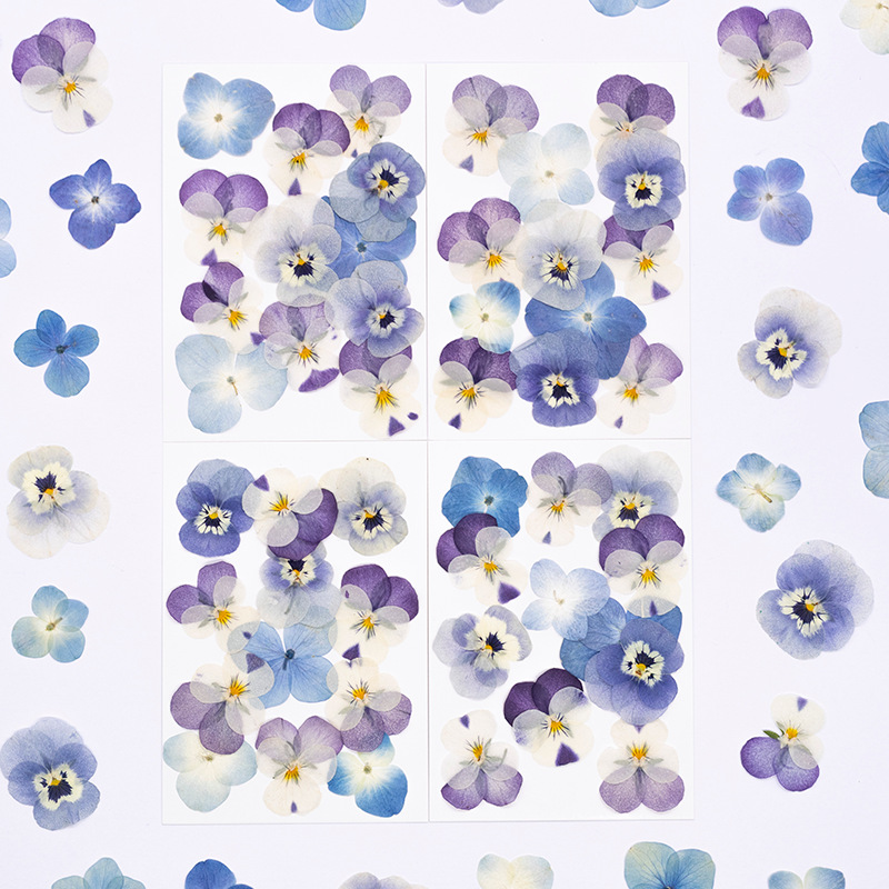 12pcs,Real Viola Cornuta Press - Supplies Of Candle recension och pris