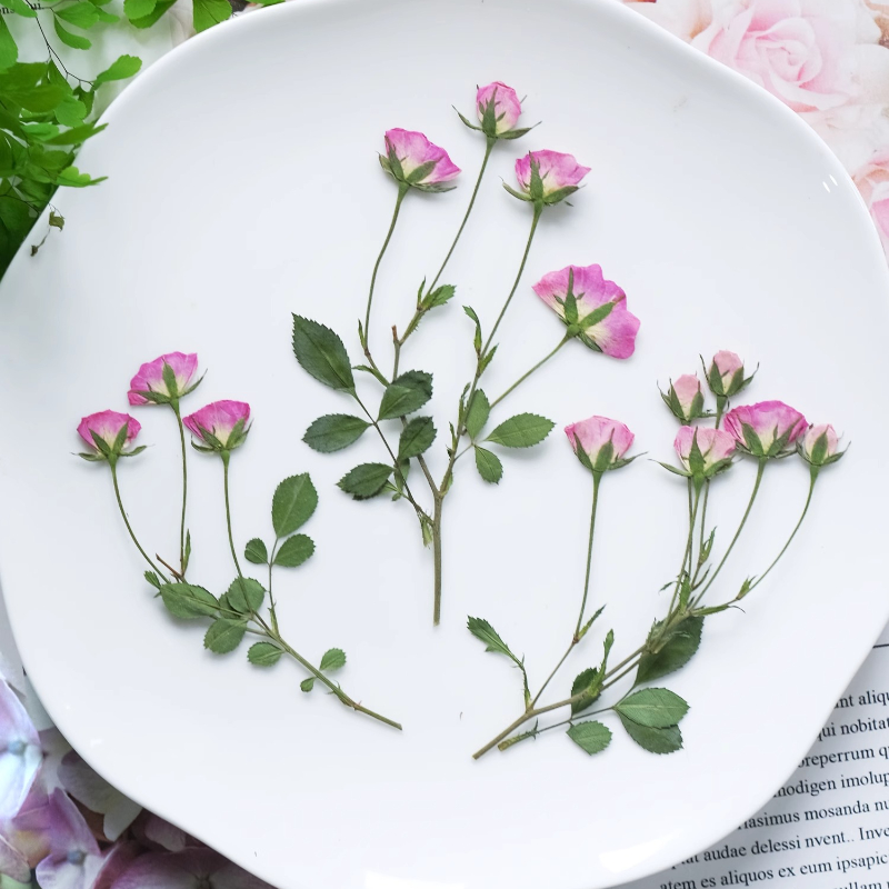 12pcs,Mini Pink Rose Pressed F - Supplies Of Candle recension och pris