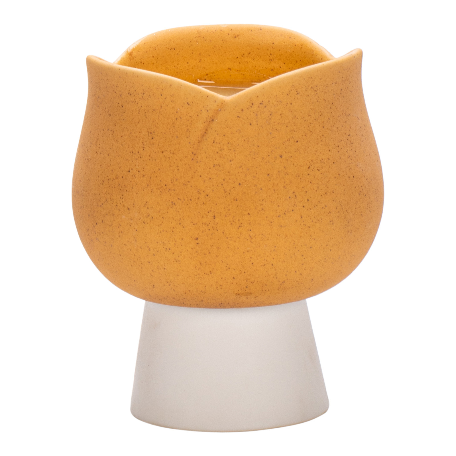 Europe Lovely Tulips Ceramic C - Candle Supplies Europe recension och pris
